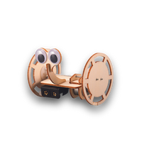 Two Wheeled Robot