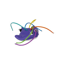 Manta Ray Crazy Hair