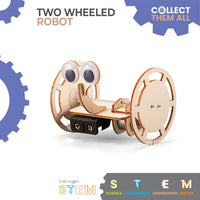 Two Wheeled Robot