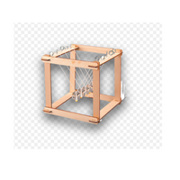 Newton's Cradle