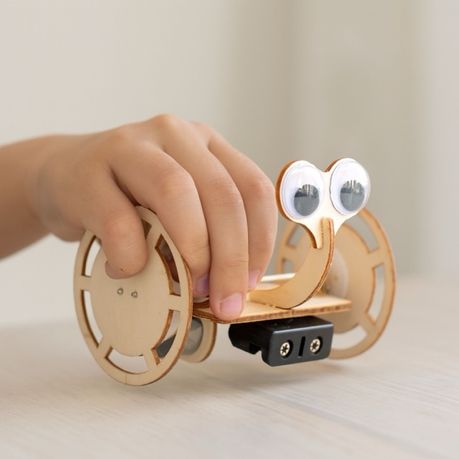 Two Wheeled Robot